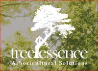 Tree Essence image 1